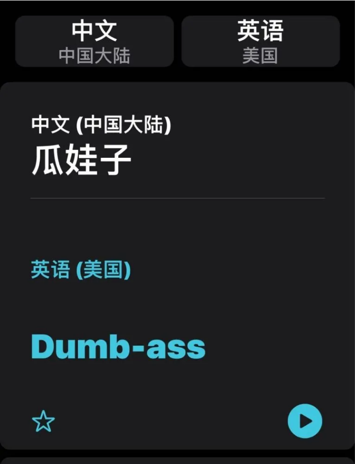 揭东苹果手机维修分享iOS14的“翻译太懂了”怎么用 